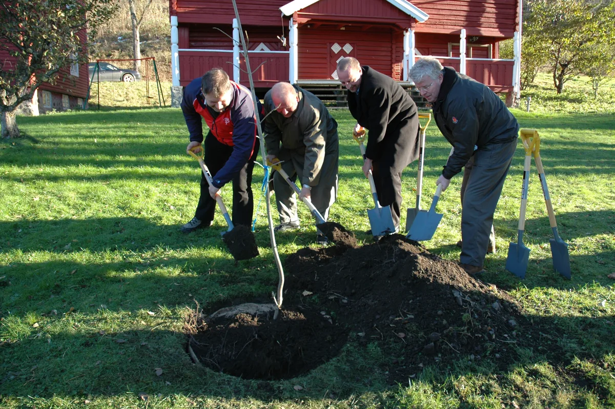 Fire menn med spader planter et tre på tunet foran de røde husene på Eidsalm.