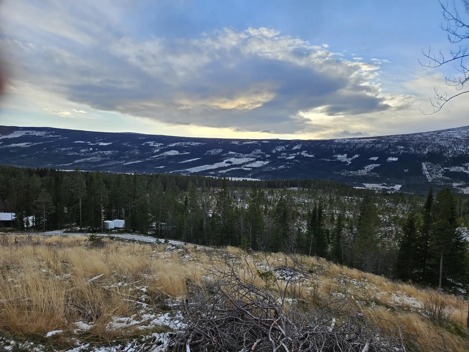 Utsikt over Hemsedal med skog i dalsidene